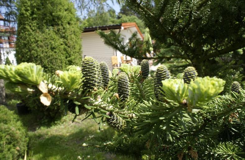 Pensjonacik Albatros Apartamento Mikołajki Exterior foto